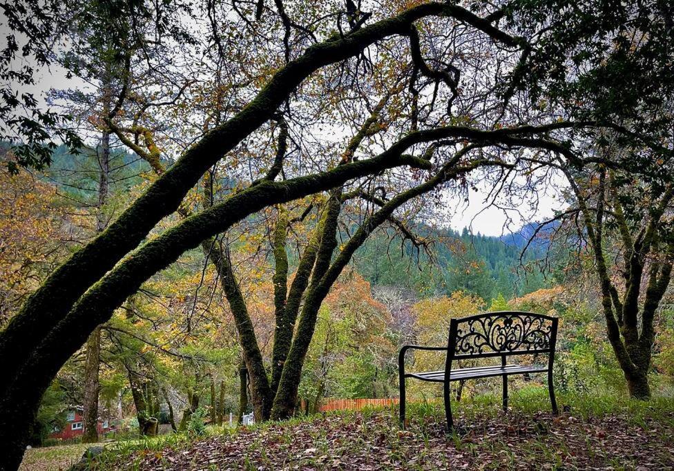Avenue Of The Giants Pepperwood Place Miranda المظهر الخارجي الصورة